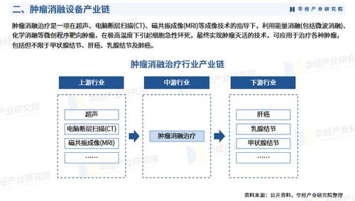 2024年中國腫瘤消融設(shè)備行業(yè)市場深度分析報(bào)告
